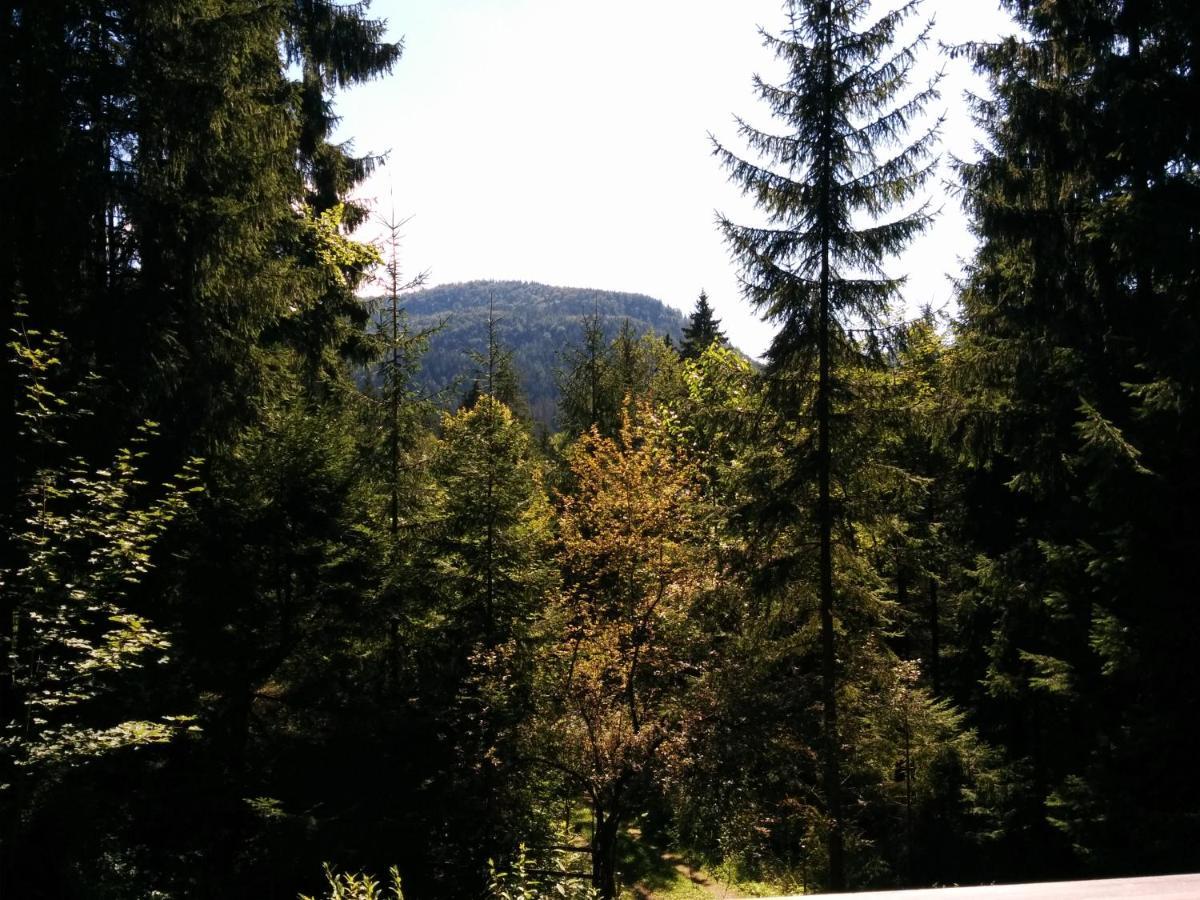 Chata Nika Ruzomberok Bagian luar foto